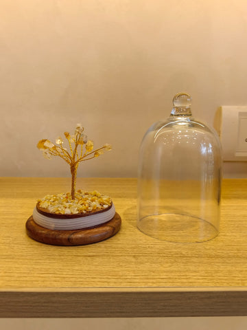 Amethyst Dome Tree ( Golden Stone)