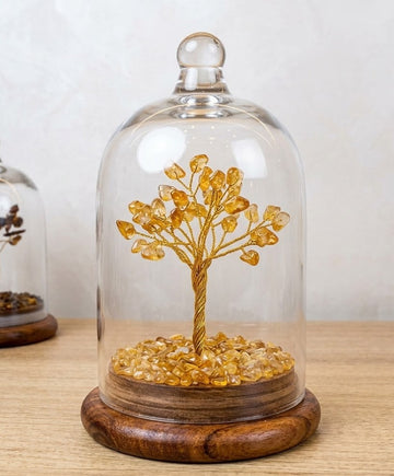 Amethyst Dome Tree ( Golden Stone)
