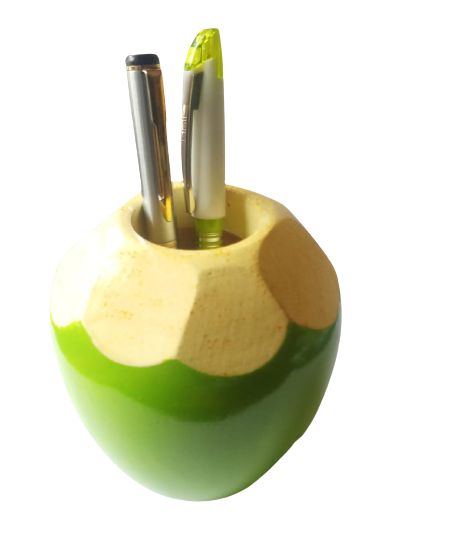 Coconut Pen stand, Pen stand
